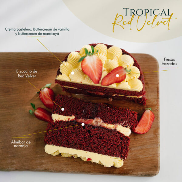 red velvet luxury box